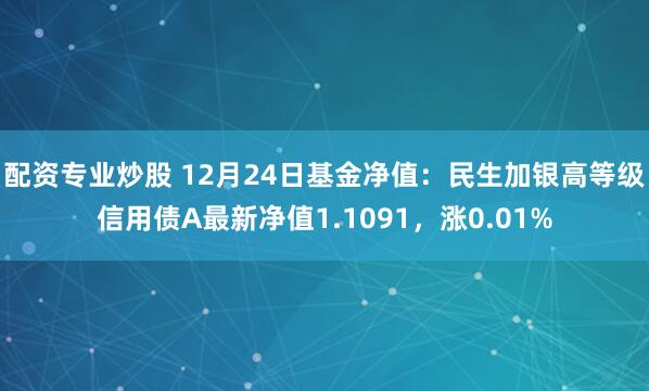配资专业炒股 12月24日基金净值：民生加银高等级信用债A最新净值1.1091，涨0.01%