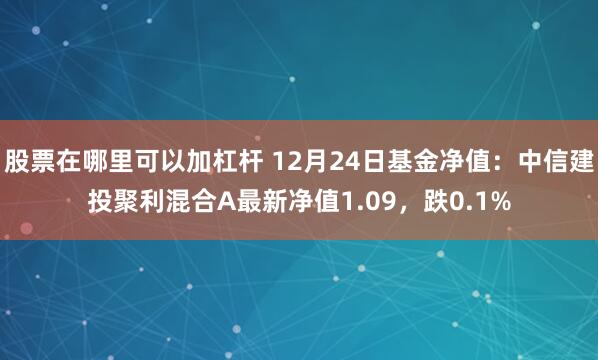 股票在哪里可以加杠杆 12月24日基金净值：中信建投聚利混合A最新净值1.09，跌0.1%