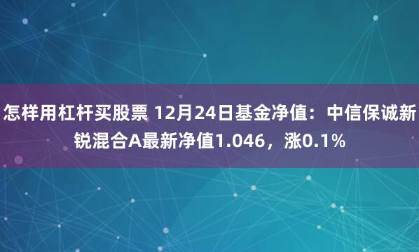 怎样用杠杆买股票 12月24日基金净值：中信保诚新锐混合A最新净值1.046，涨0.1%
