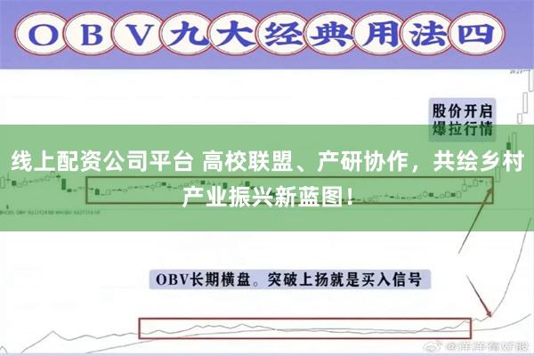 线上配资公司平台 高校联盟、产研协作，共绘乡村产业振兴新蓝图！