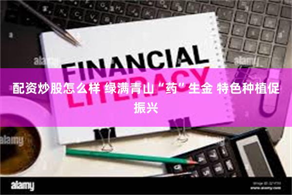 配资炒股怎么样 绿满青山“药”生金 特色种植促振兴