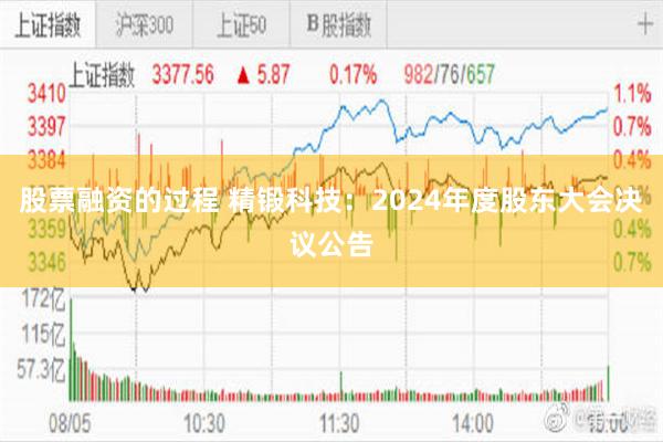 股票融资的过程 精锻科技：2024年度股东大会决议公告