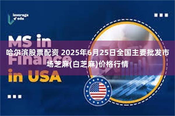 哈尔滨股票配资 2025年6月25日全国主要批发市场芝麻(白芝麻)价格行情
