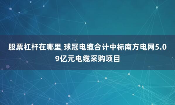 股票杠杆在哪里 球冠电缆合计中标南方电网5.09亿元电缆采购项目