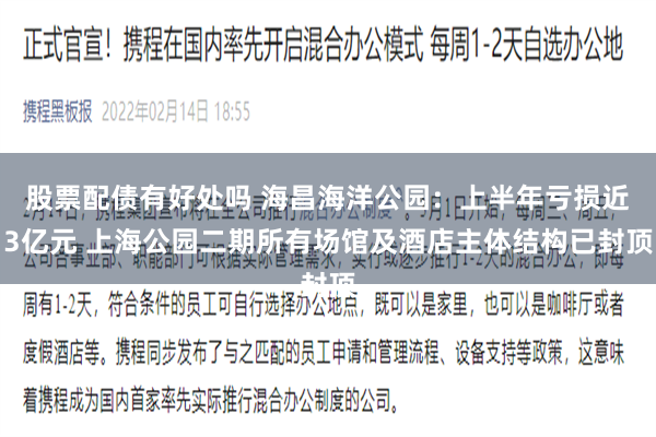 股票配债有好处吗 海昌海洋公园：上半年亏损近3亿元 上海公园二期所有场馆及酒店主体结构已封顶